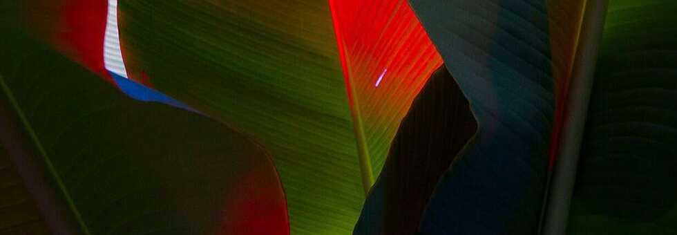 update-blog3